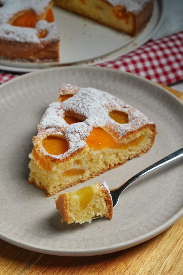 saftiger Aprikosenkuchen - einfaches Rezept